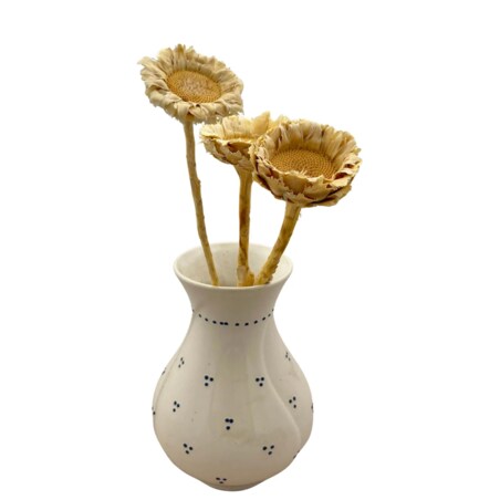 Suszona protea rosetta bielona - kwiaty suszone