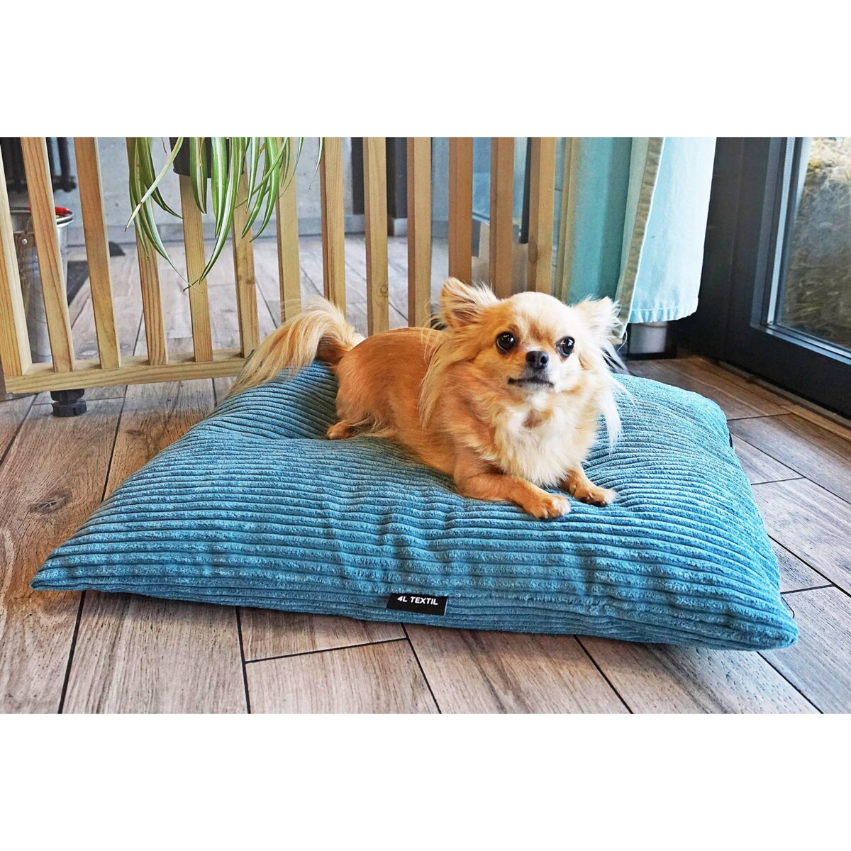 Poduszka dla psa ze sztruksu MOLLY, 60x50 cm, Turkus