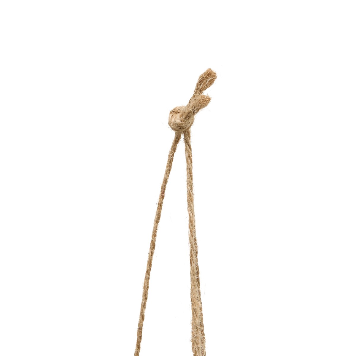 Bambus wiszący w doniczce LIORA, 67 cm