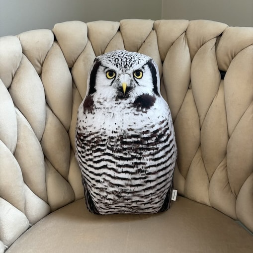 Poduszka mała Sowa Jarzębata Surnia ulula