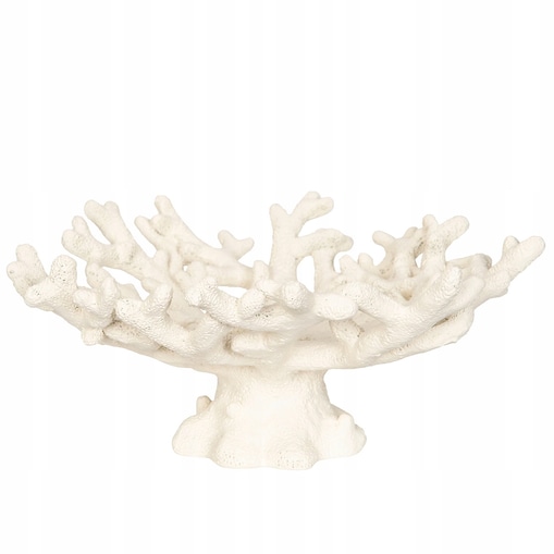 PATERA NA NÓŻCE OWOCE BIAŁA RAFA KORALOWA marynistyka do salonu domu duża