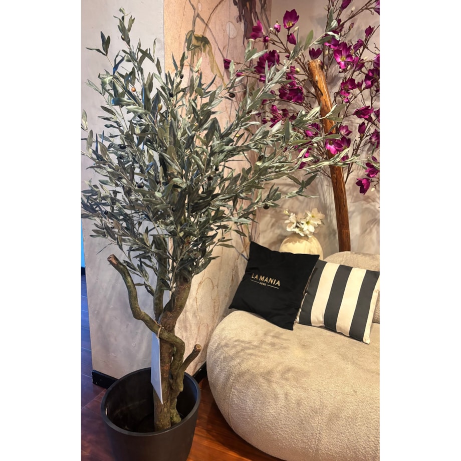 Drzewo oliwne 180cm na kręconym naturalnym pniu