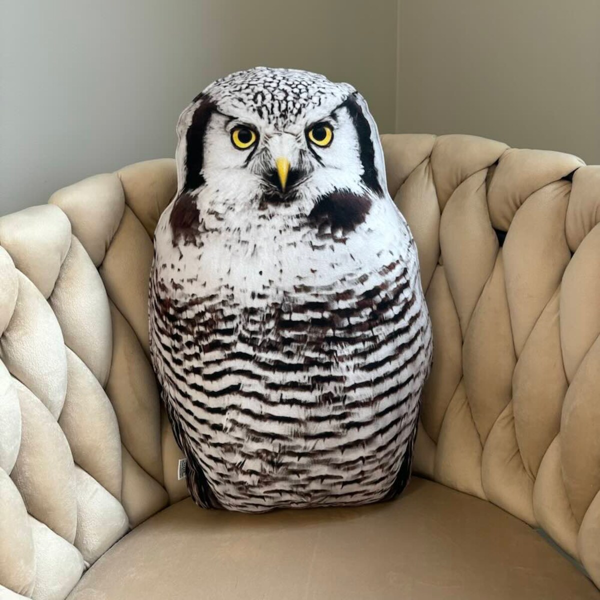 Poduszka duża Sowa Jarzębata Surnia ulula