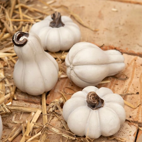 FIGURKA DYNIA OZDOBNA NA JESIEŃ HALLOWEEN DO DOMU OGRODU BIAŁA MAŁA 2 SZT.