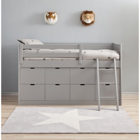 Trofeum małe lew Cesar Wild&Soft