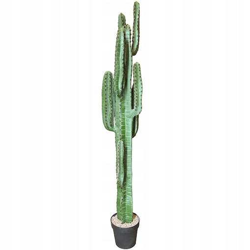 Sztuczny Kaktus XL 160 cm