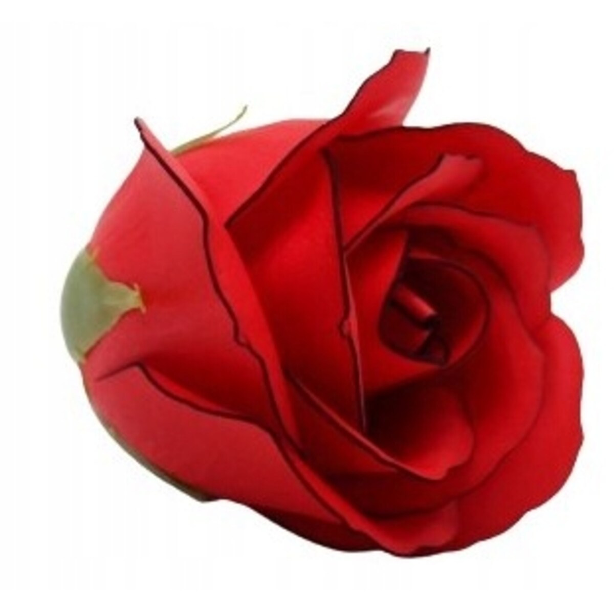 RÓŻA CZERWONA Z CZARNĄ OBWÓDKĄ 5szt kwiaty mydlane na bukiet prezent box