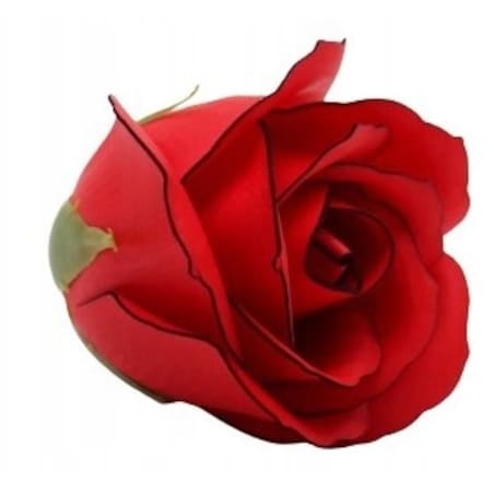 RÓŻA CZERWONA Z CZARNĄ OBWÓDKĄ 5szt kwiaty mydlane na bukiet prezent box