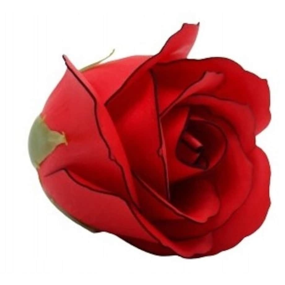 RÓŻA CZERWONA Z CZARNĄ OBWÓDKĄ 5szt kwiaty mydlane na bukiet prezent box