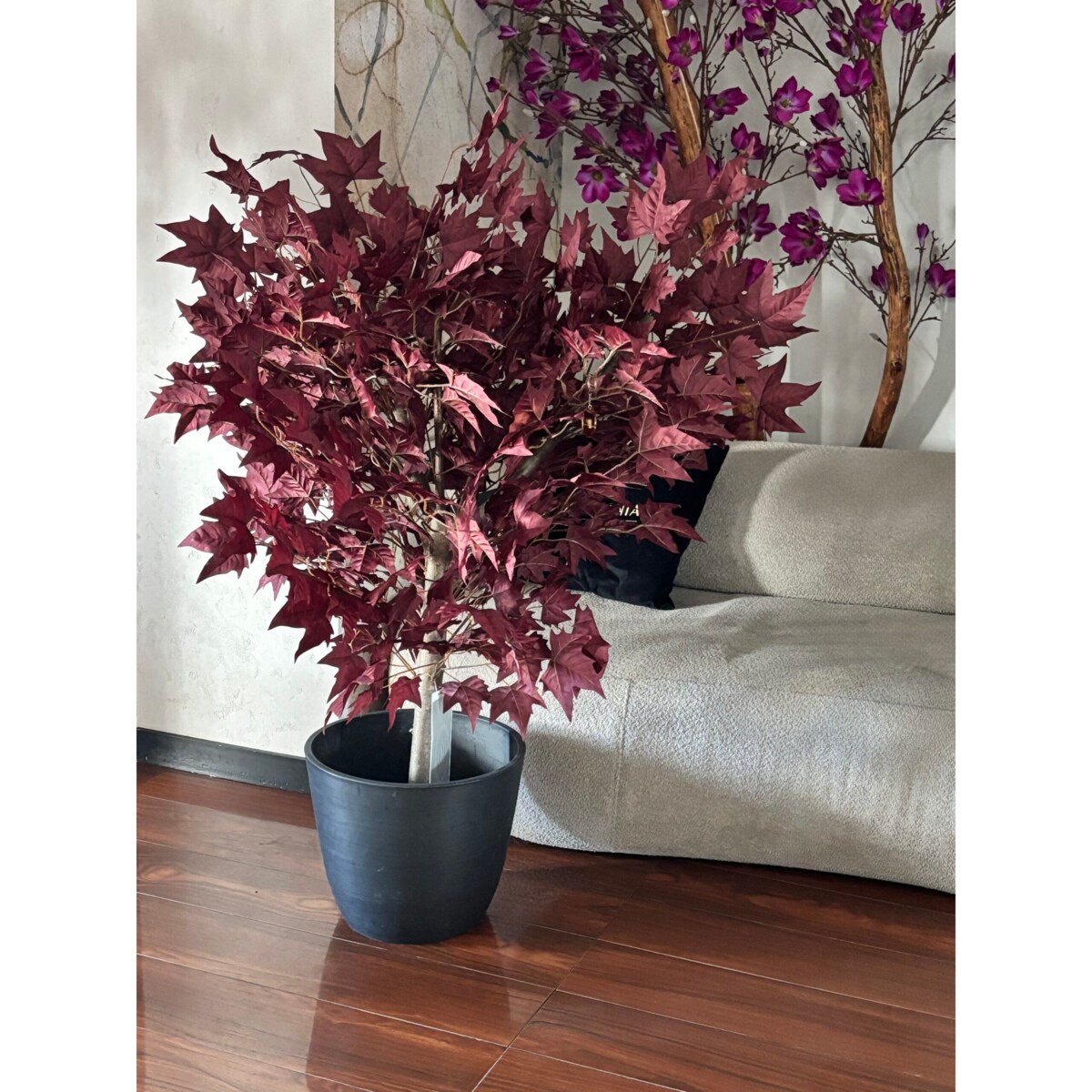 Drzewo klon bordowy na naturalnym pniu 120 cm