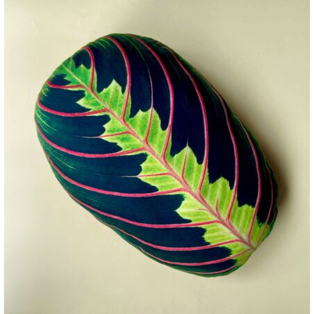 Poduszka Liść Maranta