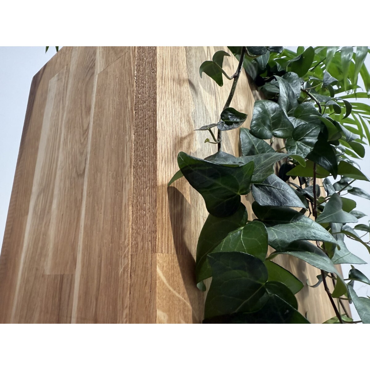 Donica drewniana dębowa na taras do salonu 60x60x20cm