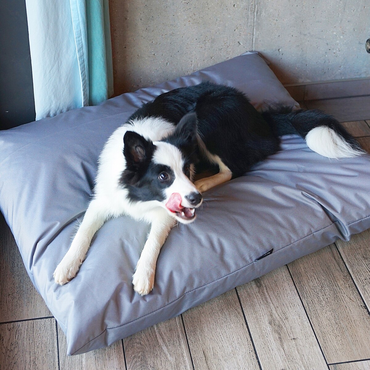 Wodoodporna poduszka dla psa ZOE, 120x100 cm, Szary