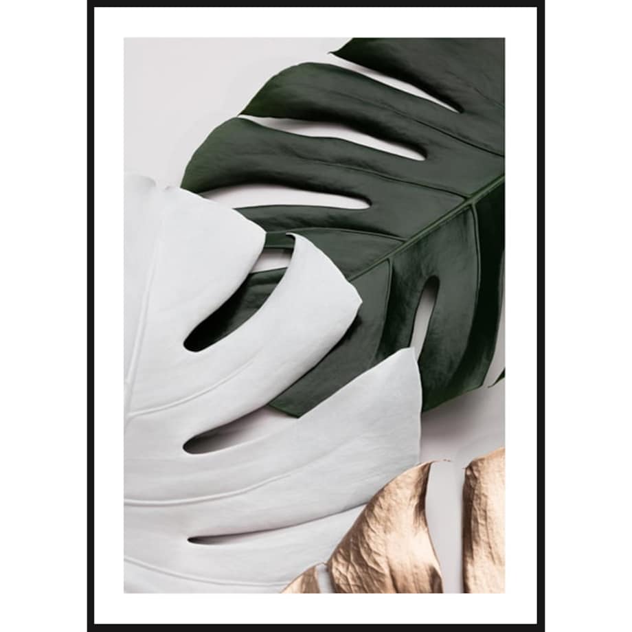 Poster Story, Plakat, Obraz - Biała Monstera, wymiary 30 x 42 cm