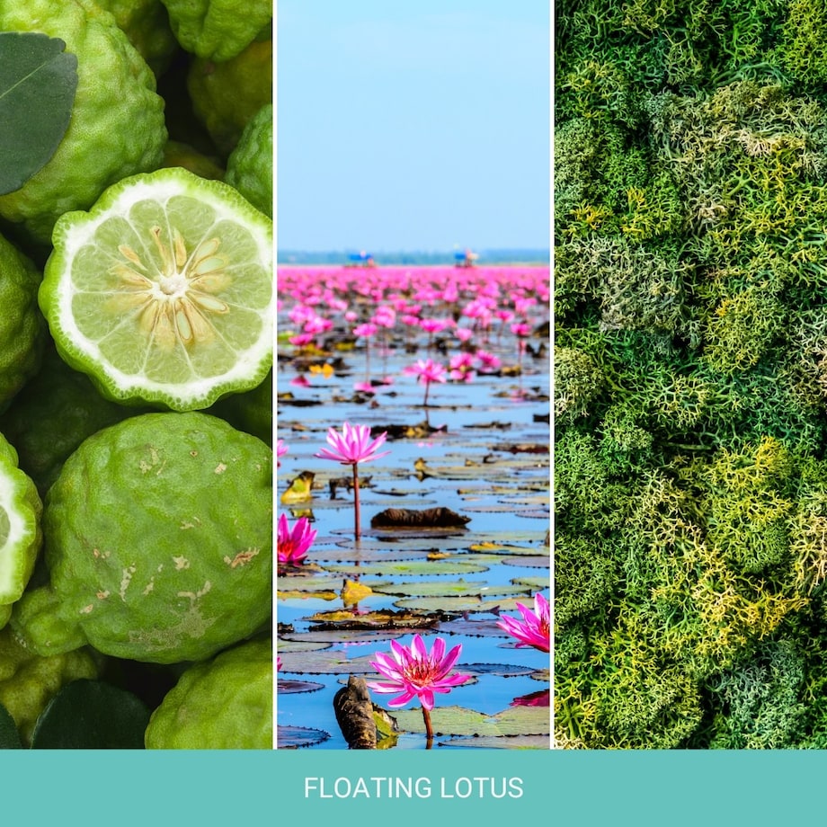 Home Inspiration świeca średnia FLOATING LOTUS