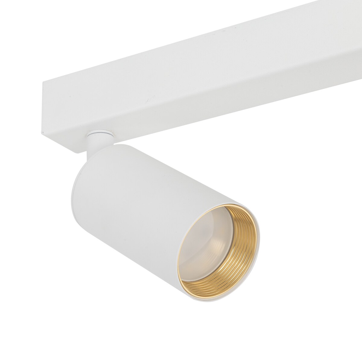 Lampa sufitowa spot AMIS WHITE 2 TK Lighting biała złote akcenty 2xGU10 regulowana 10795