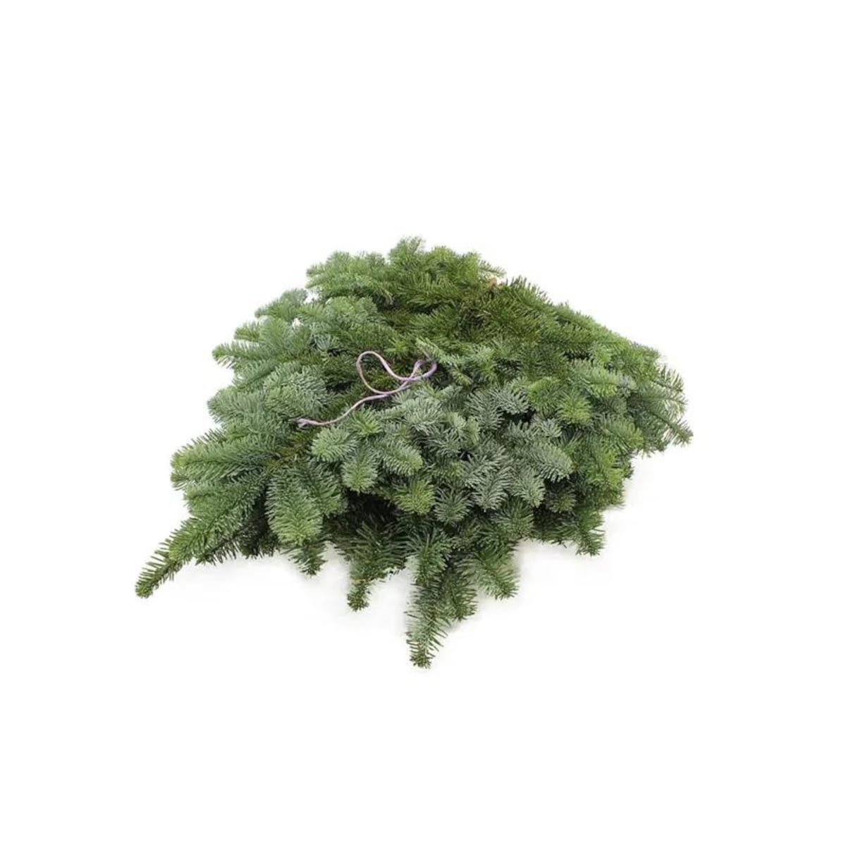 Zestaw do świątecznej dekoracji – Gałązki Nobilis Lilaband