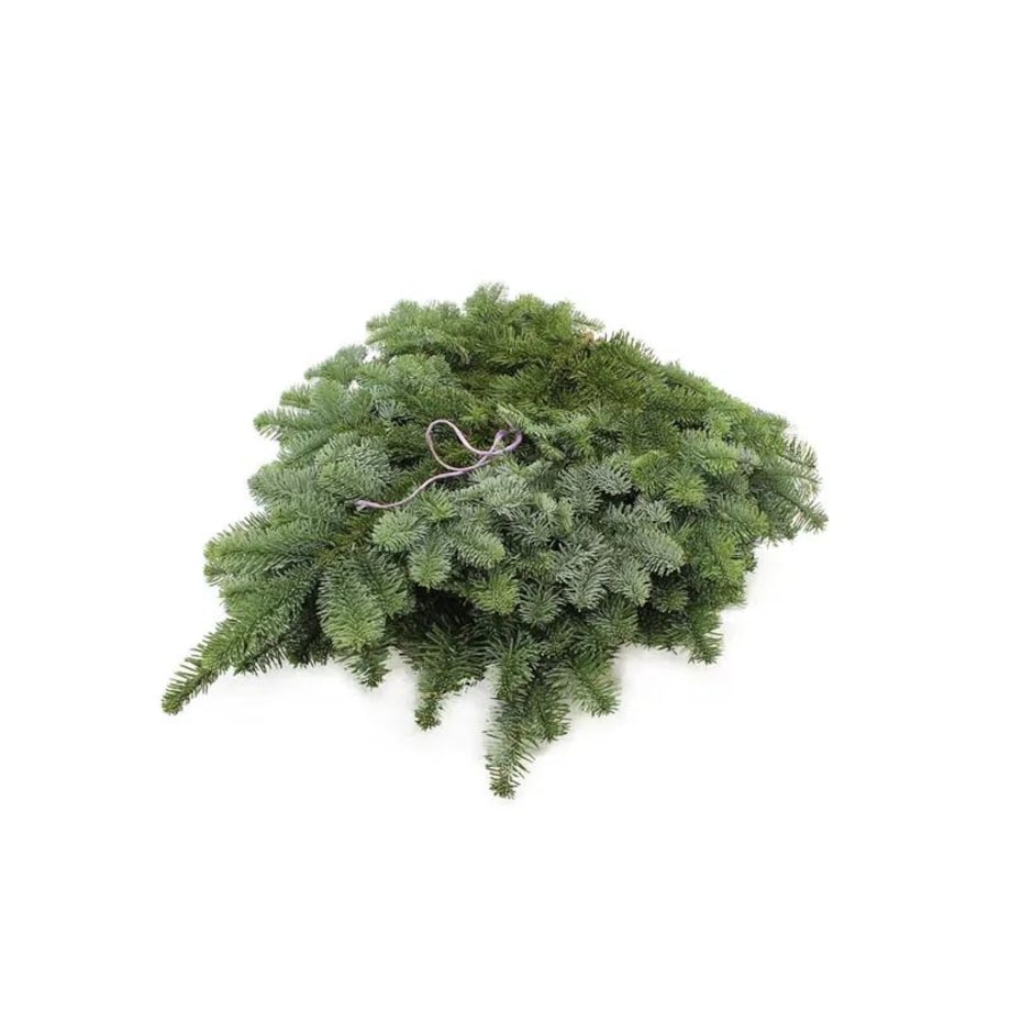 Zestaw do świątecznej dekoracji – Gałązki Nobilis Lilaband