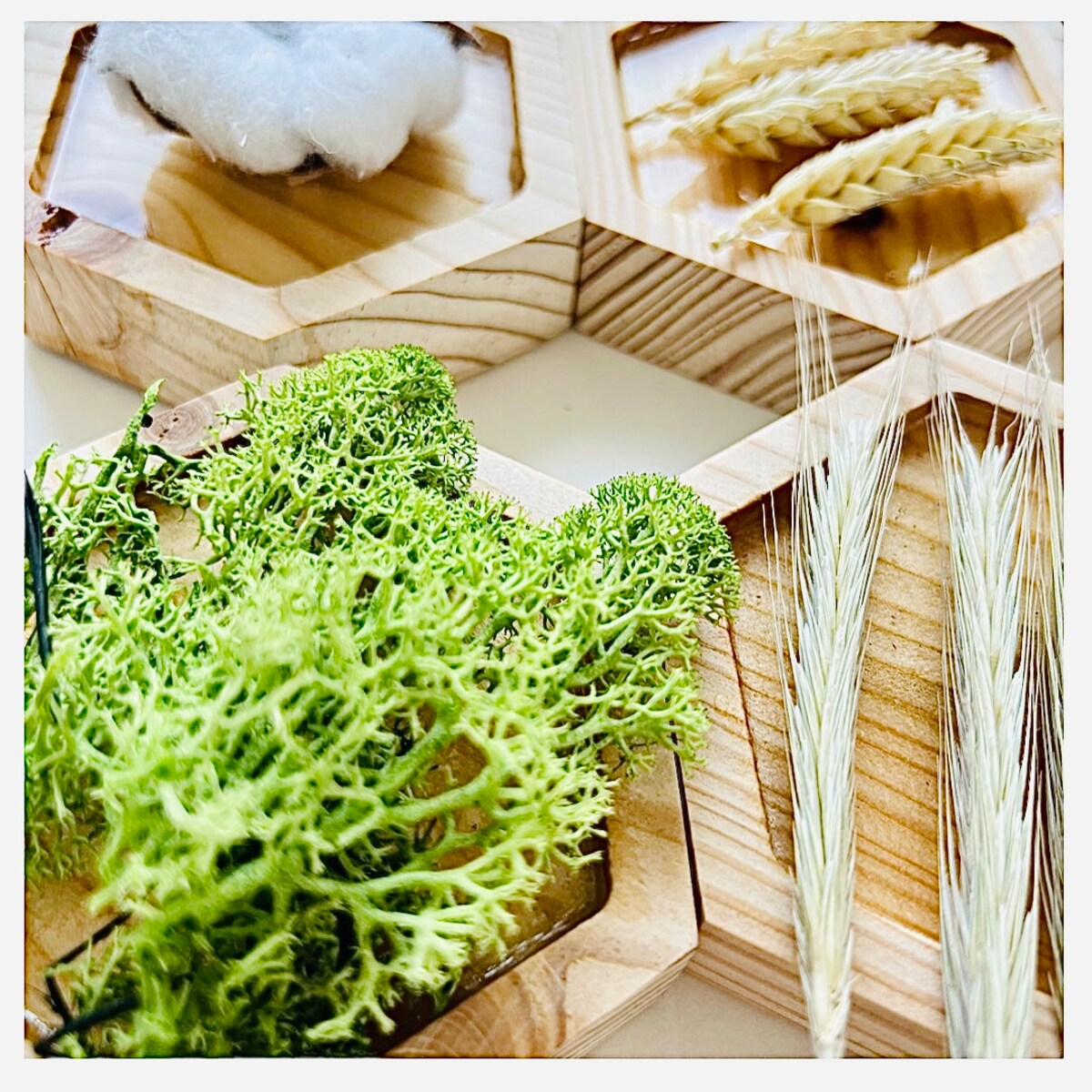 Dyski sensoryczne ZIELONO MI