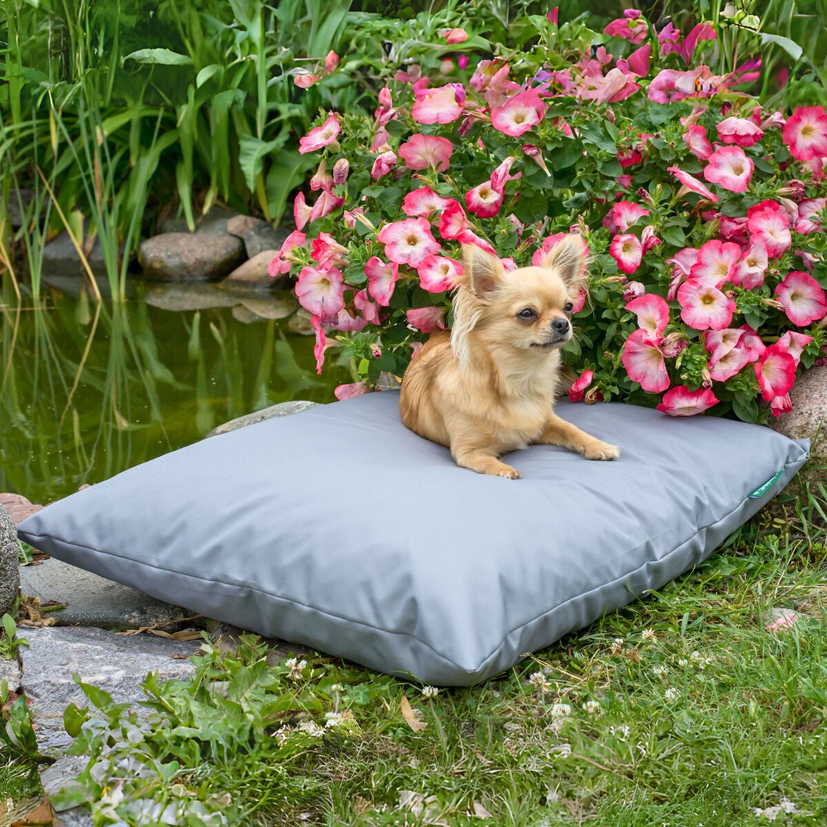Wodoodporna poduszka dla psa ZOE, 60x50 cm, Szary