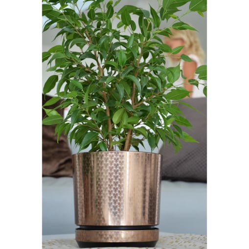 12 cm wzór BRĄZOWY ART - DECO piękny elegancki deseń niezwykły glamour ekskluzywna odcień kawy