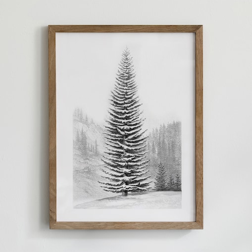 Plakat Jodła 21x30cm