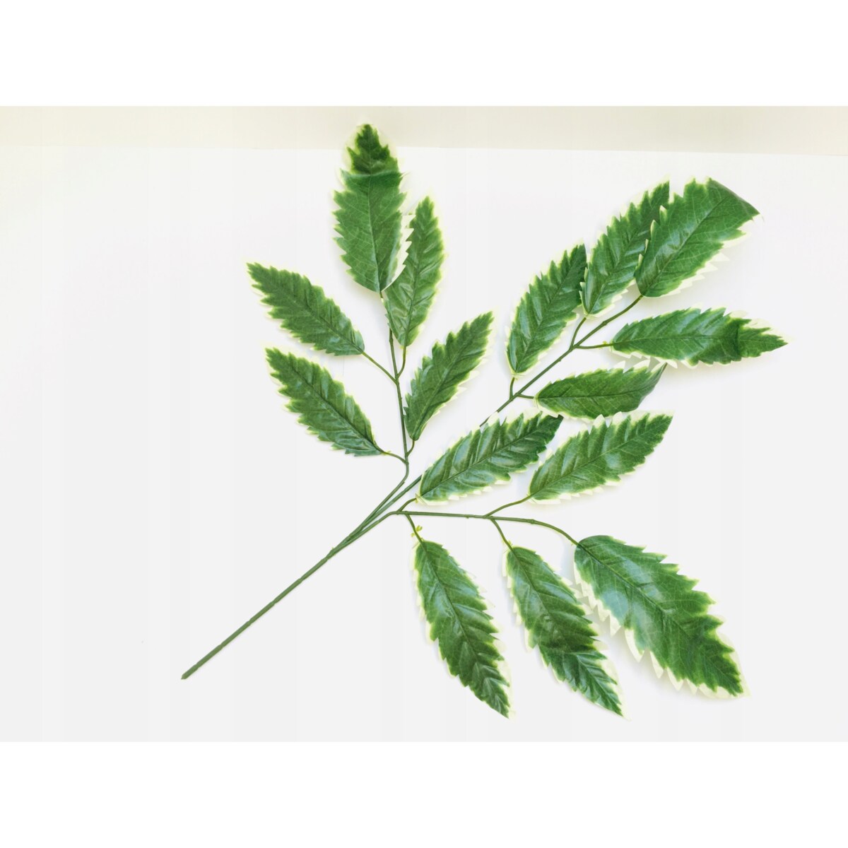 LIŚCIE DO stroika bukietu wiązanki gałązka zielona dodatek na łodydze