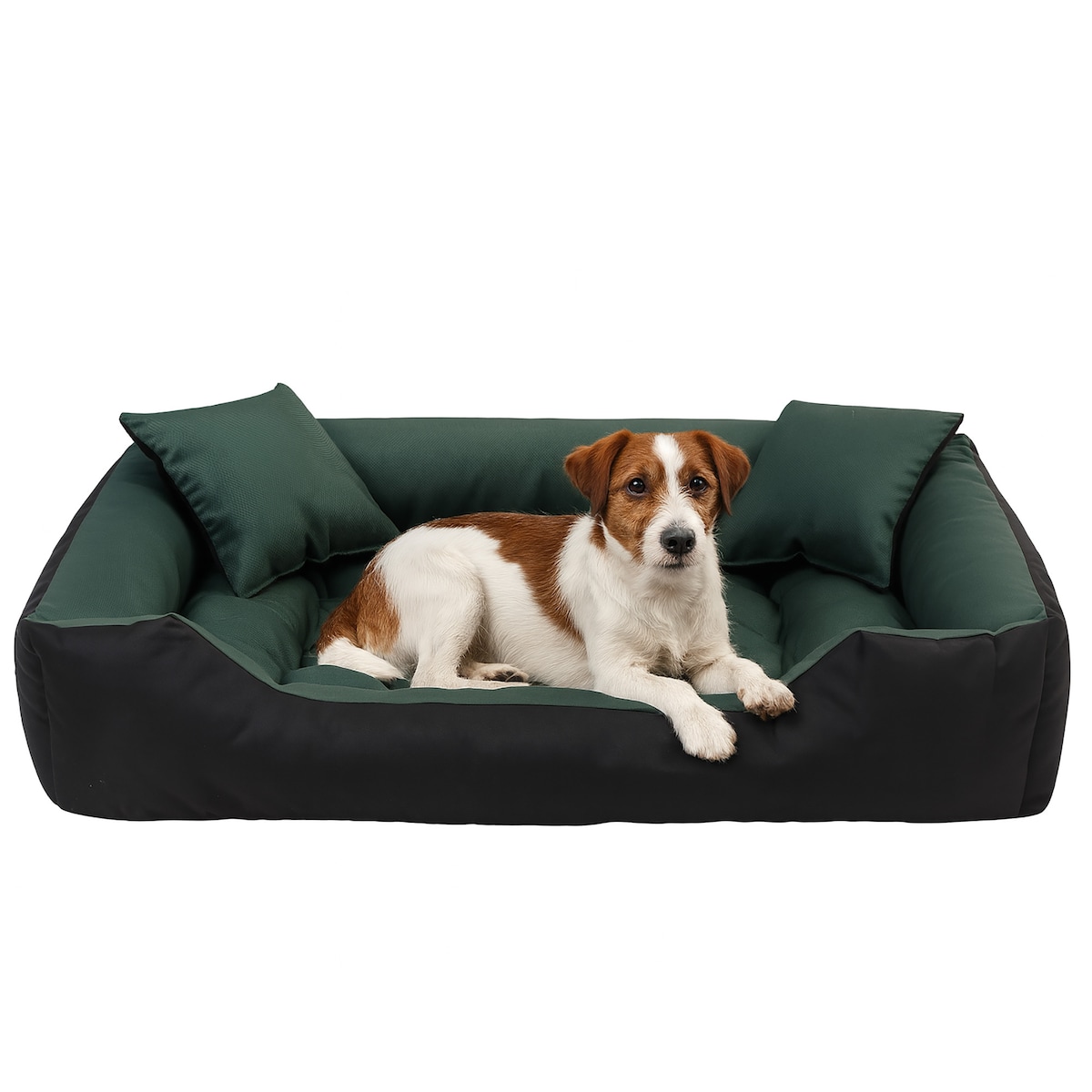 Legowisko Dla Psa Wodoodporne Posłanie Kanapa Sofa 55X45 Cm Zielone