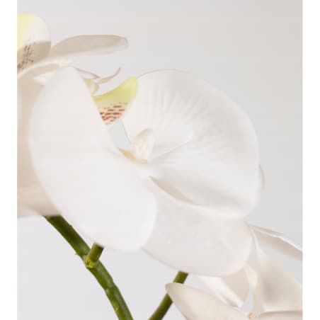 SZTUCZNA ORCHIDEA STORCZYK BIAŁY JAK ŻYWY SILIKONOWY REALISTYCZNA DEKORACJA
