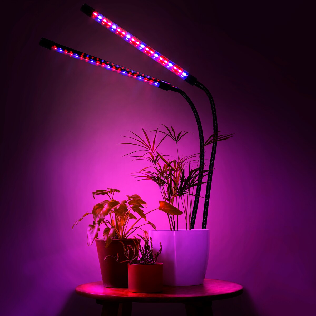 Lampa Led Do Wzrostu Roślin 40 Diod Timer 15 W Uprawa Roślin Do Domu Z Zasilaczem Sieciowym