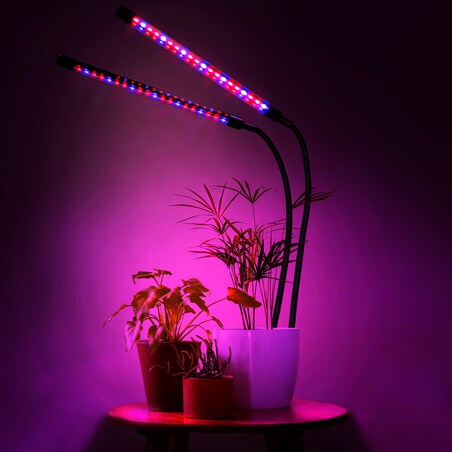 Lampa Led Do Wzrostu Roślin 40 Diod Timer 15 W Uprawa Roślin Do Domu Z Zasilaczem Sieciowym