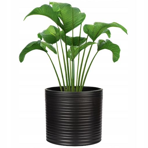 DONICZKA CERAMICZNA CYLINDER CZARNA 17cm matowa na parapet kwiaty do salonu
