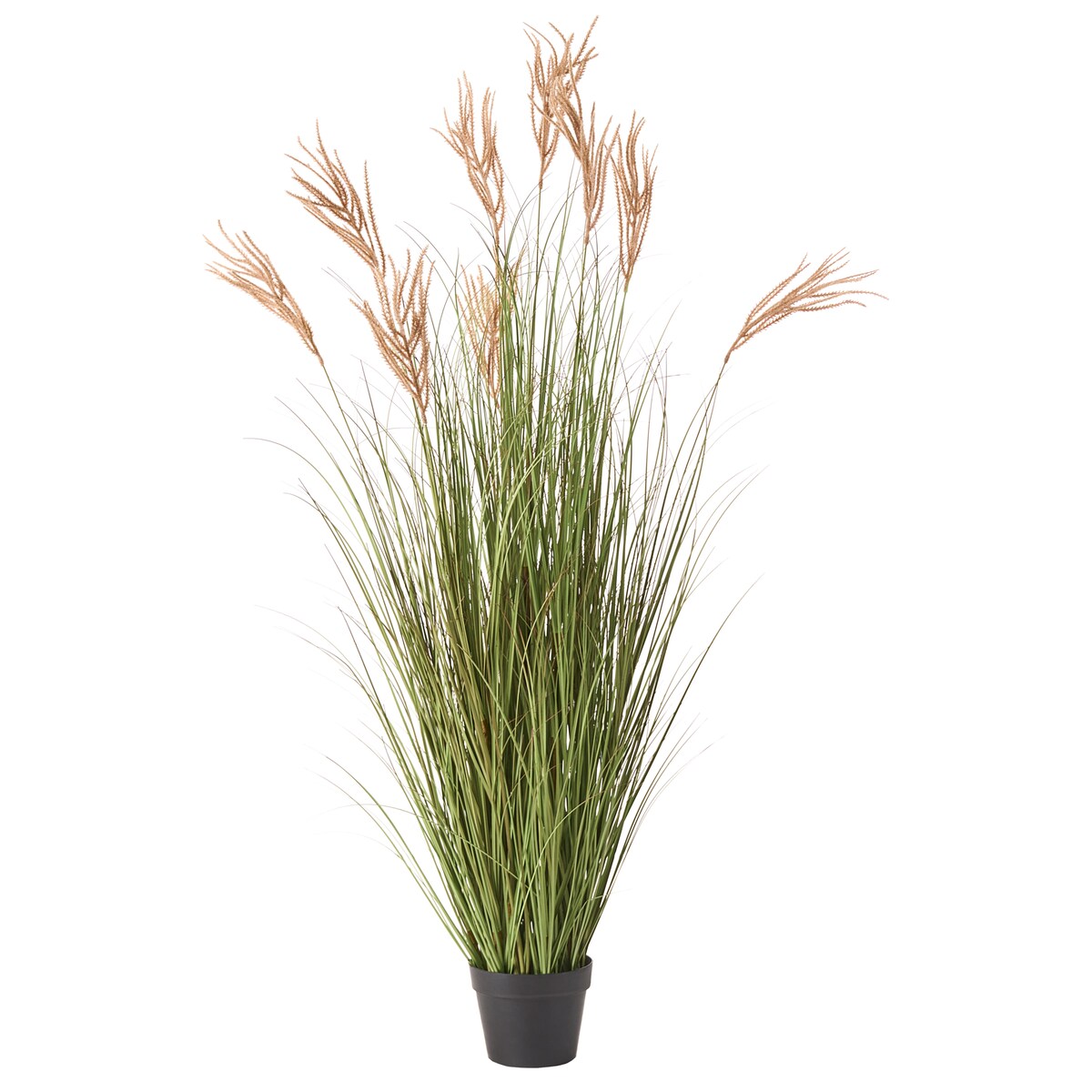 Sztuczna roślina CLAW FLOWER 150 cm Zielony