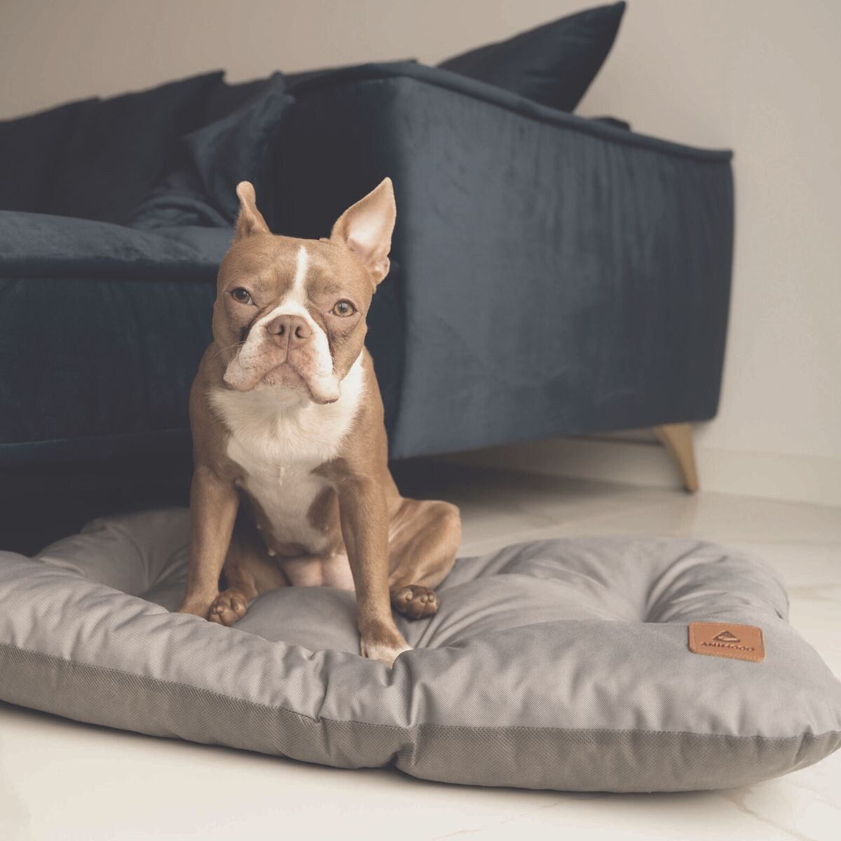 Animood Legowisko poduszka Mort rozmiar: XL, kolor: szary, materiał: kodura