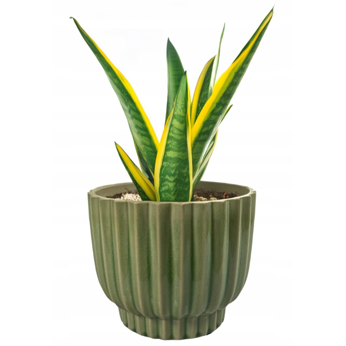 DONICZKA ZIELONA 18CM połysk okrągła osłonka donica do salonu taras balkon