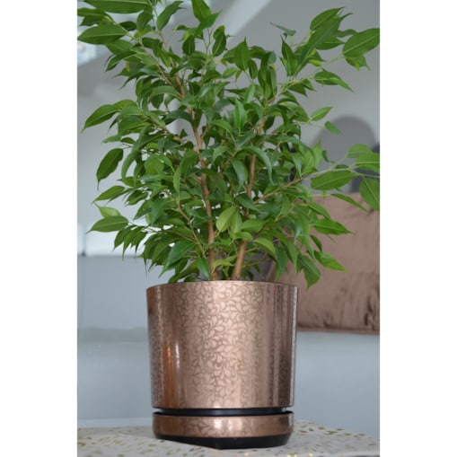 14 cm piękny wzór BRĄZOWA KORONKA kobieca motyw artystyczny elegancka glamour ekskluzywna wyrafinowana