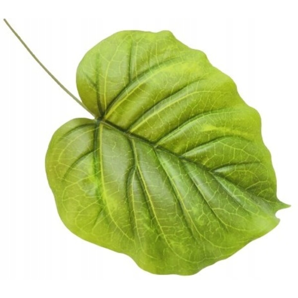 DUŻY LIŚĆ zielony gumowany realistyczny do stroika wiązanki bukiet łodyga