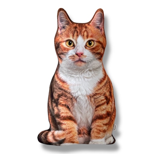 Poduszka dekoracyjna Kot rudy pręgowany z białymi łatkami