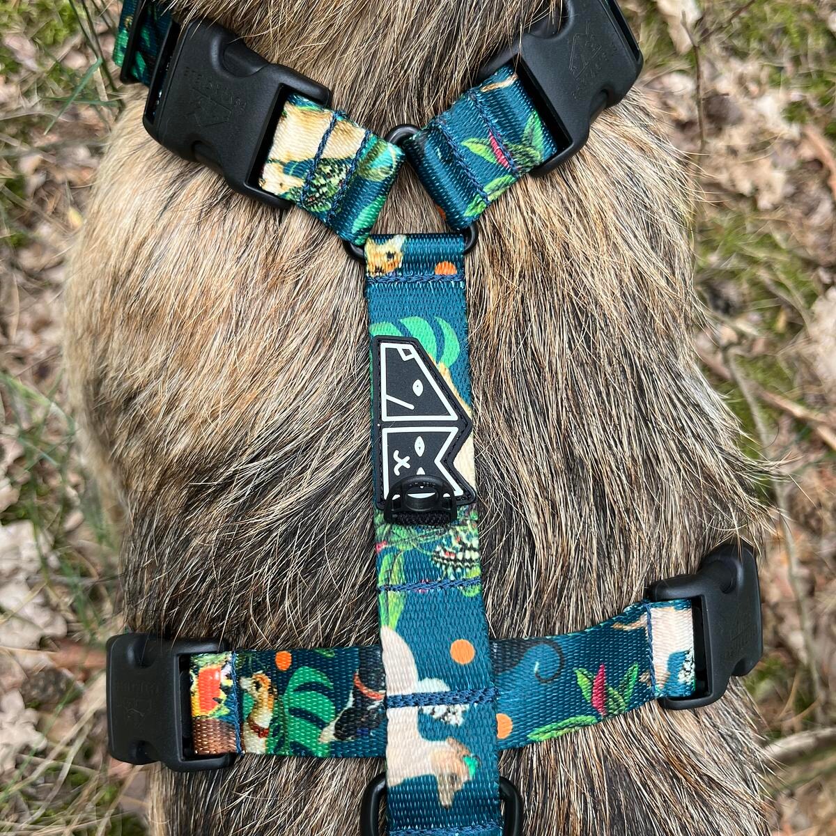 Szelki guard Stay on "Psikolaż" - Szerokość taśmy: 38mm, Rozmiar: L