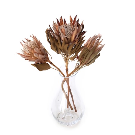 Suszona protea king różowa - kwiaty suszone