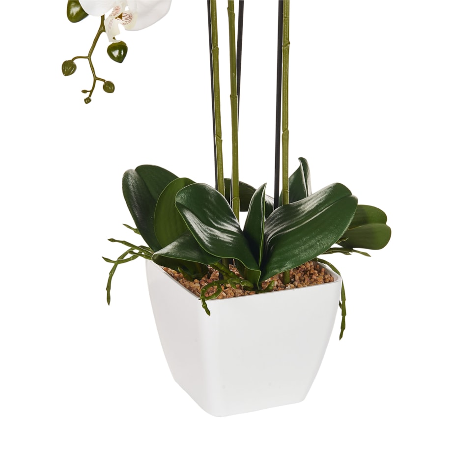 Sztuczna roślina ONCIDIUM ORCHID Biały