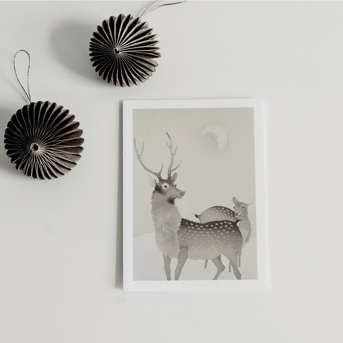 Plakat Jeleń i sarna 21x30cm