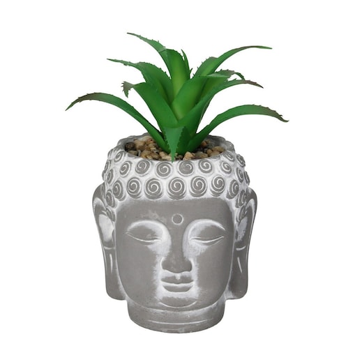 Dekoracja Aloe Buddha 17cm, 10 x 10 0x 17 cm