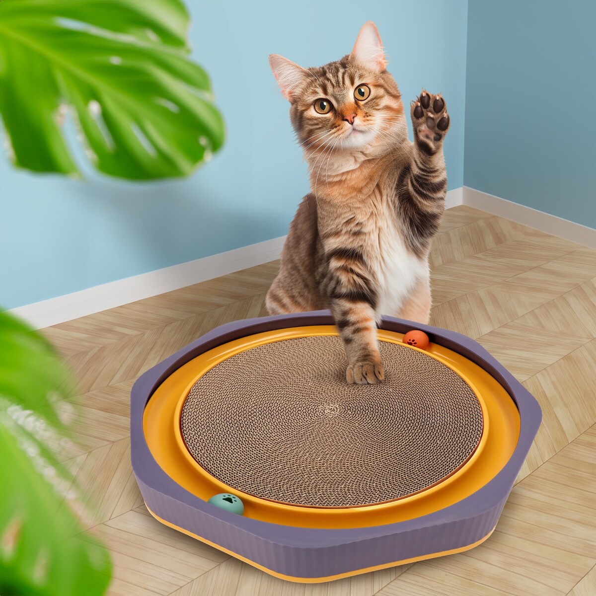Drapak Dla Kota Zabawka Kocimiętka Okrągła Do Drapania Zabawka