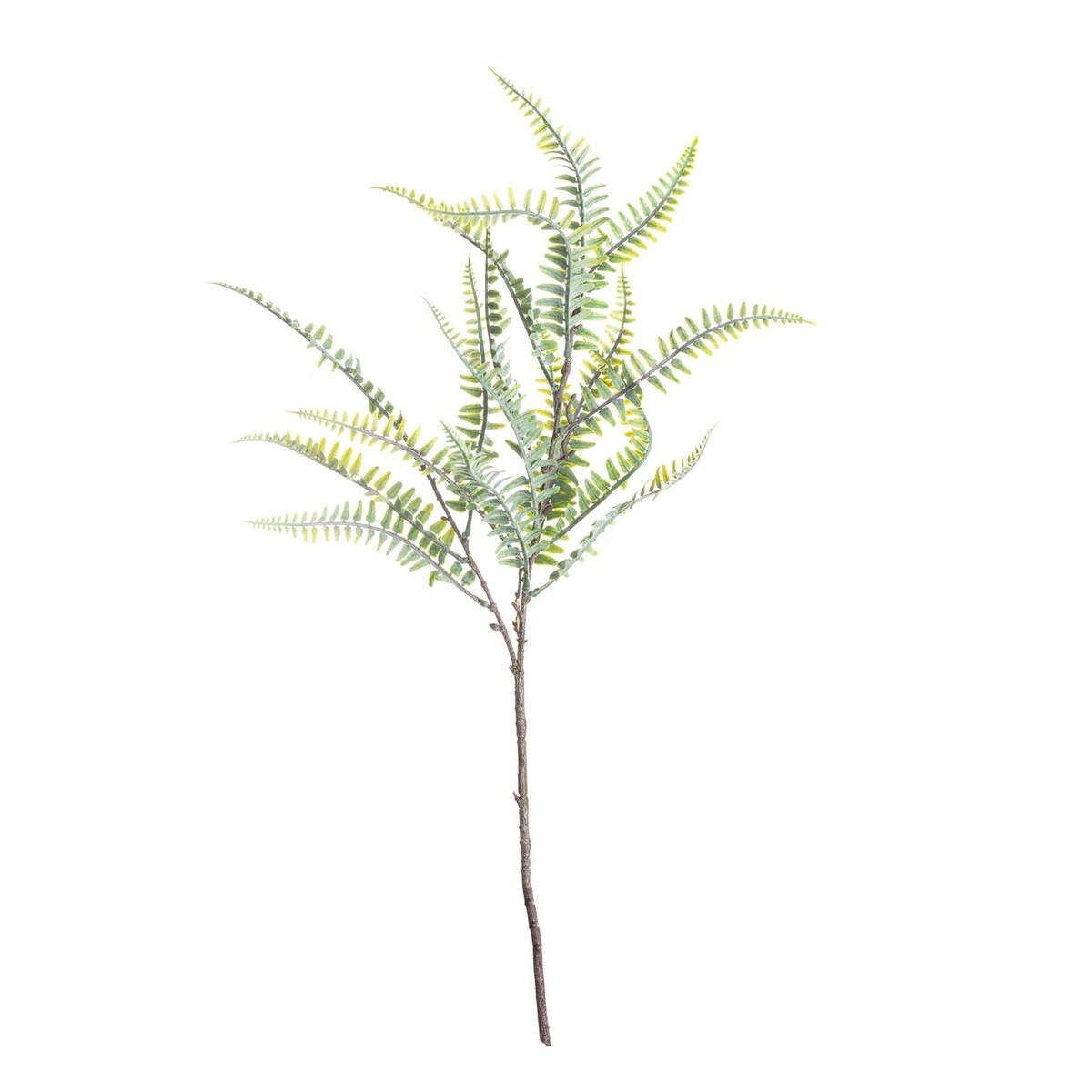 Paproć na gałązce 60cm, 10 x 10 x 60 cm
