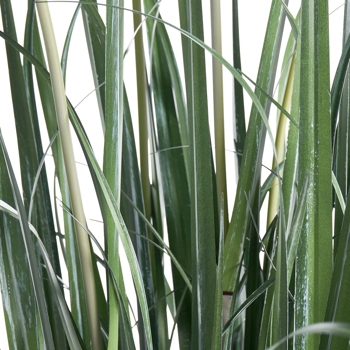 Sztuczna roślina BULRUSH 135 cm Zielony