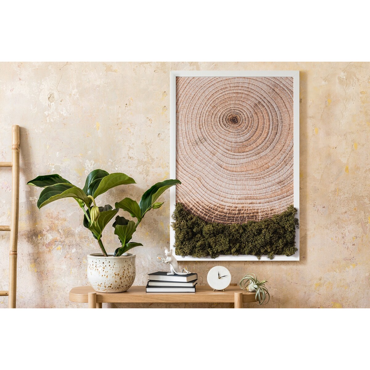 Obraz Słoje drewna - mech chrobotek w białej ramie 40x60cm