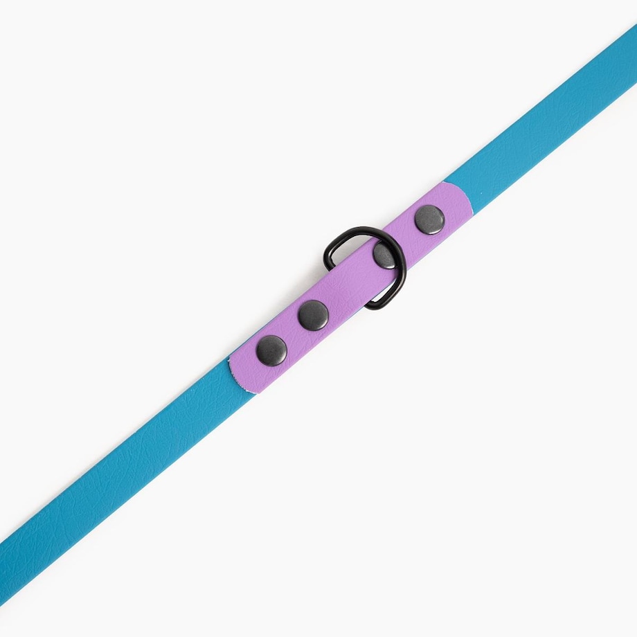 Smycz przepinana Biothane® dla psa lub kota "Turquoise with Lilac" - Rozmiar: L, Szerokość taśmy: 19mm