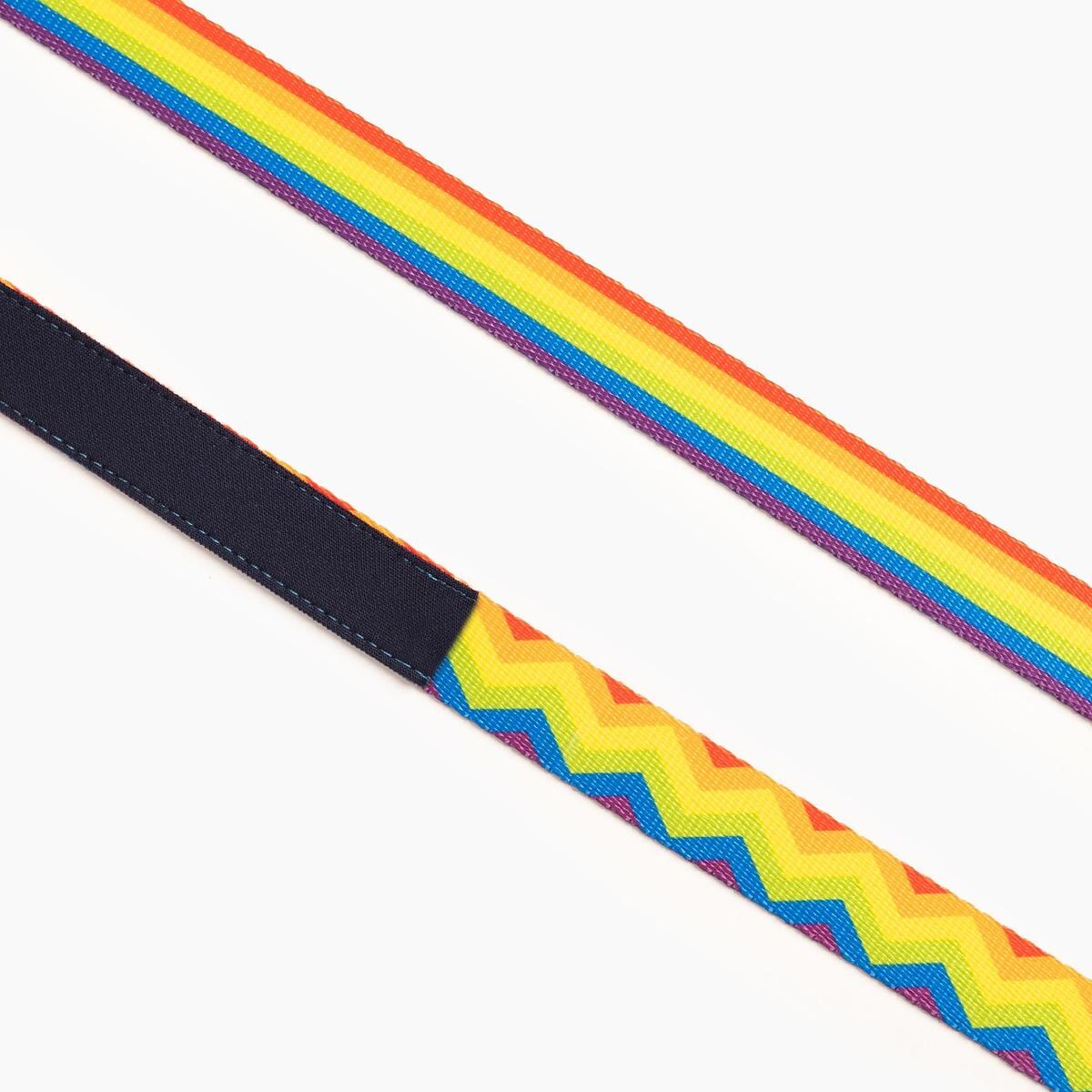 Smycz miejska dla psa lub kota "Miłość, równość, gryzaki" - Szerokość taśmy: 25mm, Rozmiar: L oraz Rodzaj: Mały karabinek