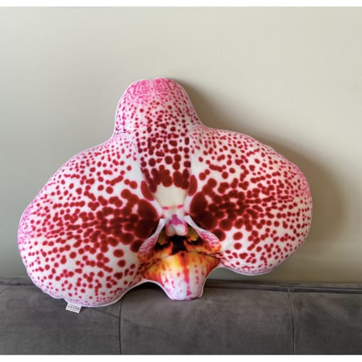 Poduszka duży Storczyk Orchidea Phalaenopsis